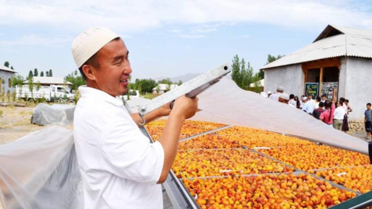 Assisting Agriculture in Kyrgyzstan