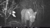 16x9 Image