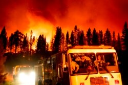 Petugas pemadam kebakaran tiba di Frenchman Lake untuk memerangi "Sugar Fire", bagian dari Kebakaran Kompleks Beckwourth, yang membakar Hutan Nasional Plumas, California, 8 Juli 2021.