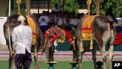 FILE PHOTO - Royal oxens eat corn and green beans at the end of a royal plowing ceremony at provincial town of Takhmau, Cambodia, Saturday, May 17, 2014. The ceremony marks the start of rice farming season. (AP Photo/Heng Sinith)