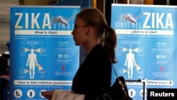 FILE - Material to prevent Zika infection by mosquitoes are displayed at the 69th World Health Assembly at the United Nations European headquarters in Geneva, Switzerland, May 23, 2016.