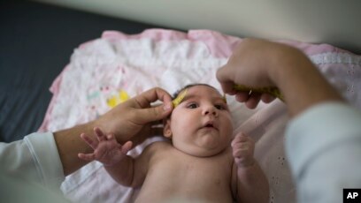 Un Cas De Virus Zika Signale Au Danemark