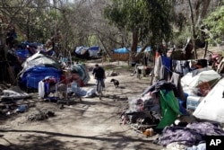 FILE - Tents are set up along a pathway in the Jungle, a homeless encampment in San Jose, California, March 11, 2014.