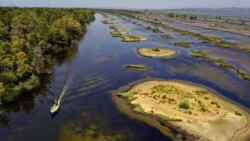 A boat crosses the Divjaka-Karavasta Lagoon, western Albania, Tuesday, June 22, 2021. The pandemic has brought one good thing to the Divjaka-Karavasta Lagoon in western Albania - calmness for the pelicans and increase of their numbers.