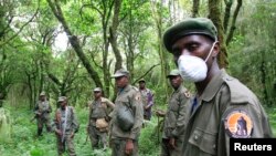 ARCHIVES - Des grades du parc de Virunga