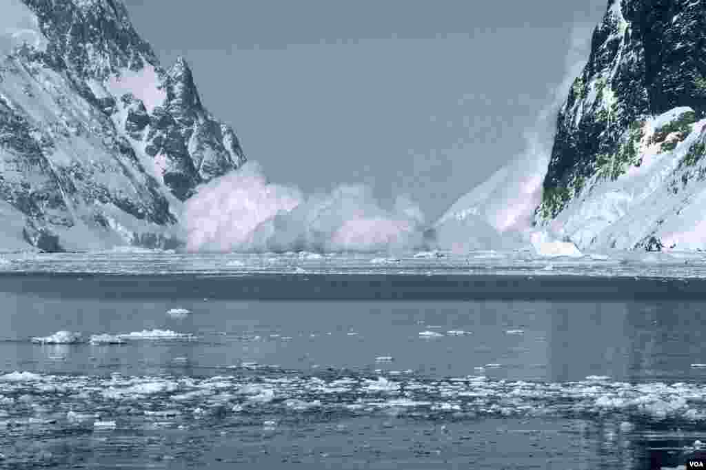 Es longsor di Kanal Lemaire, Antartika. (OCEANITES/Ron Naveen)