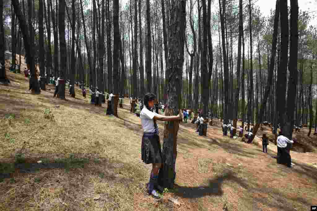 Nepalese students hug trees during a mass tree hugging on the World Environment Day outside of Katmandu.