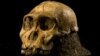 L'Homo sapiens présent dans le sud tunisien il y a près de 100.000 ans
