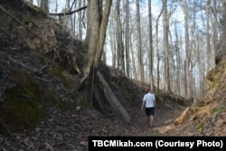 Centuries of use by Indians, explorers, traders and settlers have worn the Natchez Trace into a winding man-made gully through the forest.