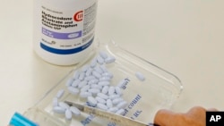 FILE - A pharmacy technician sorts hydrocodone and acetaminophen tablets, also known as Vicodin, at the Oklahoma Hospital Discount Pharmacy in Edmond, Okla. Hydrocodone is a semisynthetic opioid synthesized from codeine.