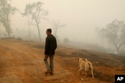 In this Nov. 10, 2018, Patrick Knuthson walks along his property near trees burned in the Camp Fire in Paradise, Calif. Knuthson a fourth-generation local struggled to make sense of what he was seeing. He pointed out what used to be a saloon-style pub, hi