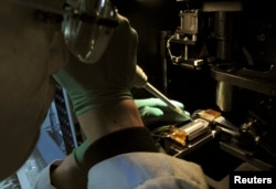 FILE - A researcher injects DNA material onto a laboratory dish.