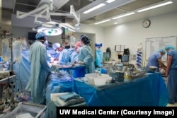 Dr. Jay Pal preparing patient Ted Daniels for transplant heart. Donated heart in the box on the right. Sept. 16, 2015, UW Medical Center, Seattle, WA.