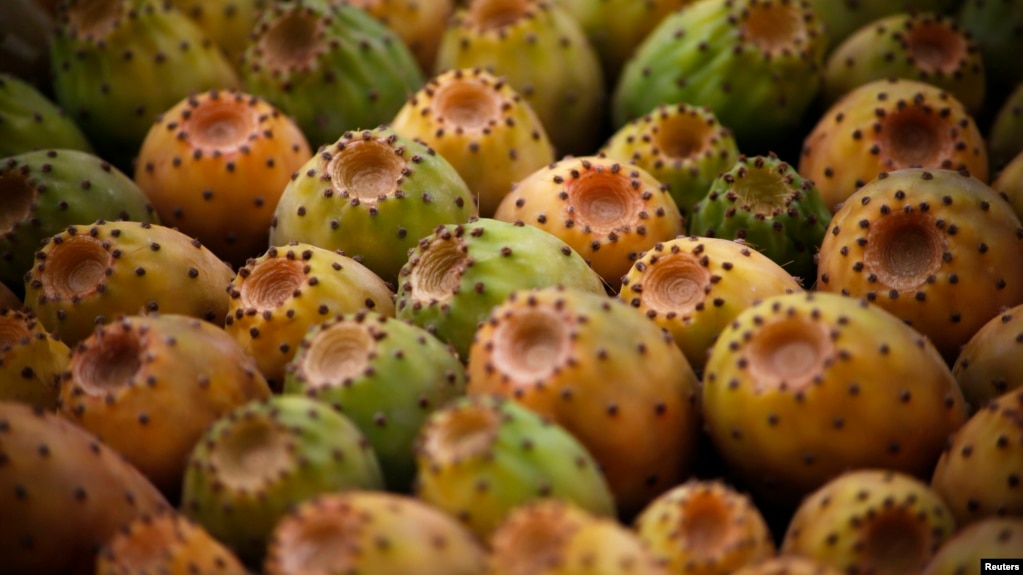 Prickly pears are displayed for sale at a stall in Beirut, Lebanon, July 22, 2014. A dozen prickly pears are sold for approximately $4 in the Lebanese market.