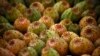 Prickly pears are displayed for sale at a stall in Beirut, Lebanon, July 22, 2014. A dozen prickly pears are sold for approximately $4 in the Lebanese market.