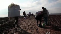 Syrians Ferry Needed Goods From Iraq