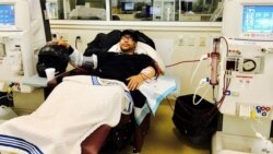 Lọc máu và thận nhân tạo (Dialysis and ‘artificial kidney’)