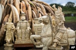 FILE - Confiscated ivory statues stand in front of one of around a dozen pyres of ivory, in Nairobi National Park, Kenya, April 28, 2016. A leading elephant conservation group said Wednesday, March 29, 2017 that the price of ivory in China has dropped.