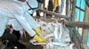 Bird Flu Worries Rise With Seventh Fatality This Year