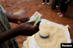A trader counts money as he sells maize near the capital Lilongwe, Malawi, Feb. 1, 2016.