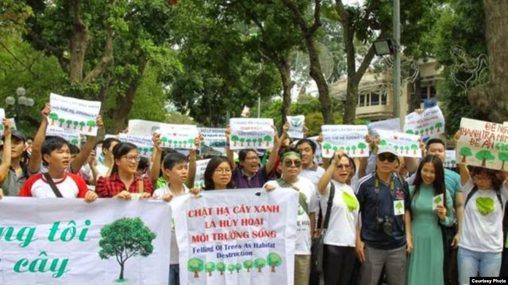 Hình minh họa. Biểu tình phản đối Hà Nội chặt cây xanh.