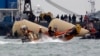 جنوبی کوریا: کشتی کے حادثے میں ہلاکتیں 146 ہوگئیں