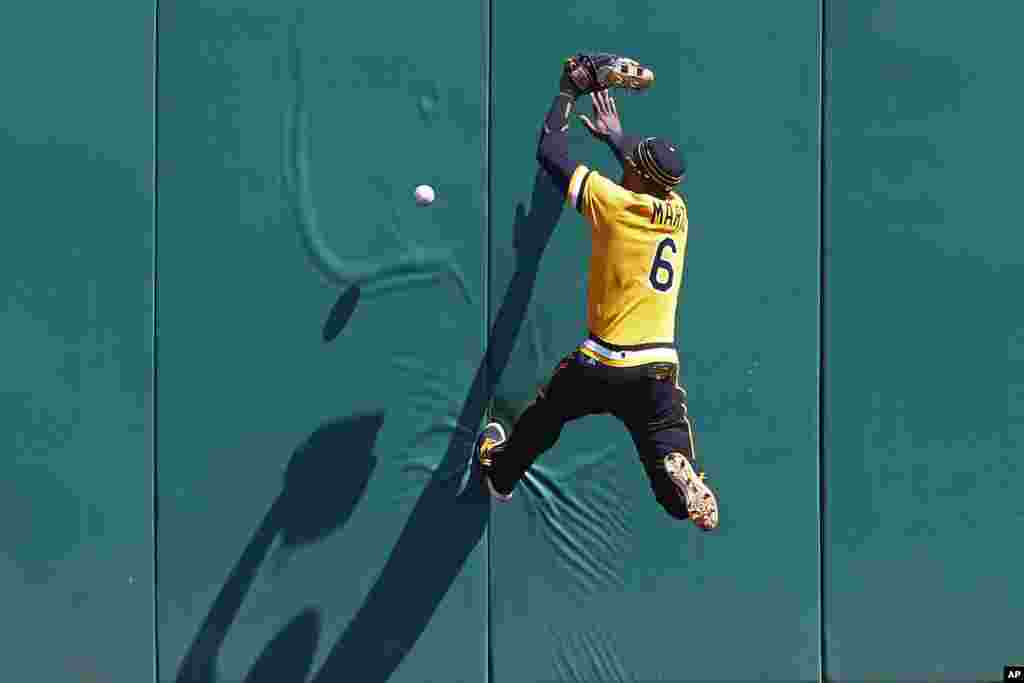 កីឡាករ Starling Marte នៃក្រុម Pittsburgh Piartes លោតផ្ទប់ជញ្ជាំងដើម្បីចាប់កូនបាល់ ដែលត្រូវបានវាយដោយកីឡាករ Gregorio Petit នៃក្រុម Los Angeles Angel នៅអំឡុងពេលប្រកួតកីឡា វាយកូនបាល់នៅក្រុង Pittsburgh រដ្ឋ Pennyslvania សហរដ្ឋអាមេរិក កាលពីថ្ងៃទី០៥ ខែមិថុនា ឆ្នាំ២០១៦។ 