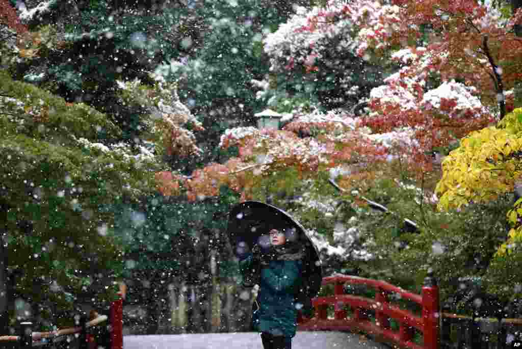 Seorang pengunjung berpose di depan kuil Tsurugaoka Hachimangu di Kamakura, dekat Tokyo yang dilanda hujan salju. Ini adalah hujan salju pertama yang turun di Tokyo pada bulan November dalam 50 tahun terakhir.