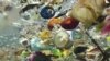Dünyada istehsal olunan plastik materialların 3 faizə qədəri okeana tullanılır (video)
