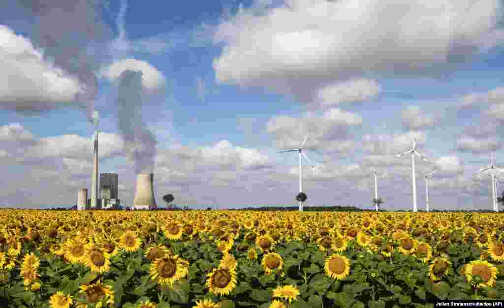 A field of sunflowers is seen along with the Mehrum coal-fired power station, wind turbines and power lines in Mehrum, Germany.