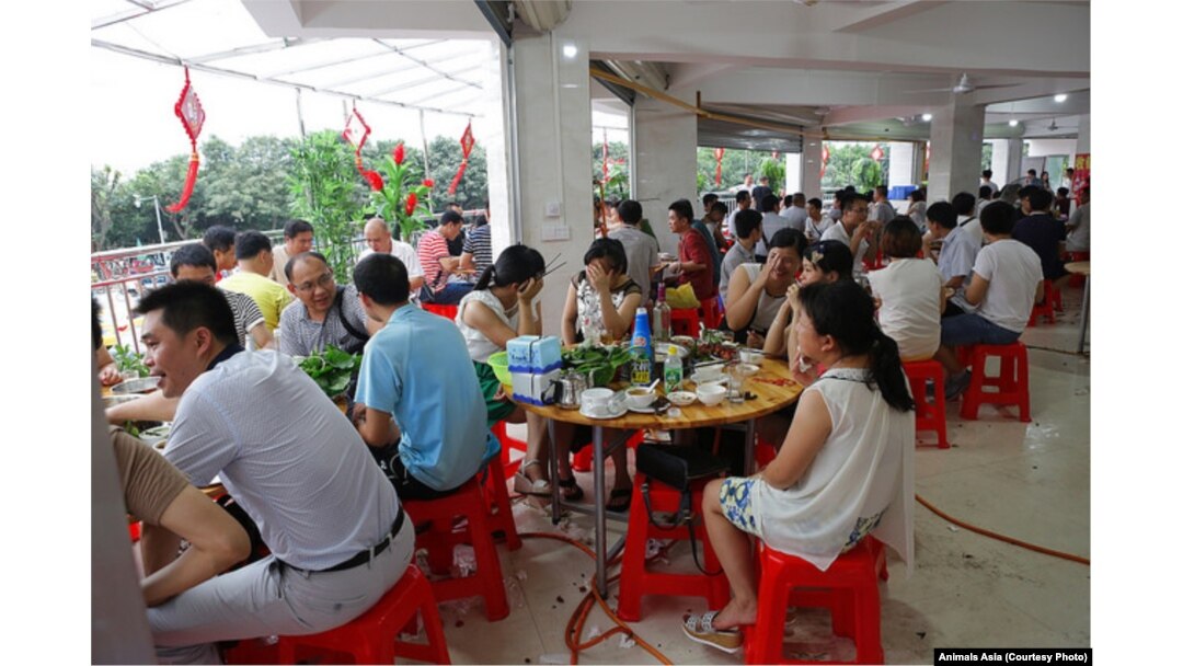 Một số người ăn thịt chó che mặt vì không muốn bị chụp hình tại Ngọc Lâm, Trung Quốc.