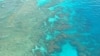 中國船隻破壞大堡礁 澳洲政府提出上億賠償
