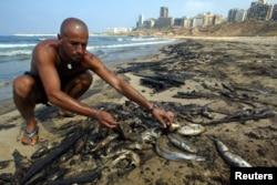 FILE - A Lebanese man collecting dead fish on a popular Beirut beach August 6, 2006. An estimated 30,000 tonnes of oil spilled into the Mediterranean Sea after Israeli war planes bombed a power plant in southern Lebanon on July 13. REUTERS/Mohamed Azakir