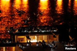 Pigeons with LED lights attached to them land as part of the "Fly By Night" art installation by artist Duke Riley above the Brooklyn borough of New York, May 5, 2016.