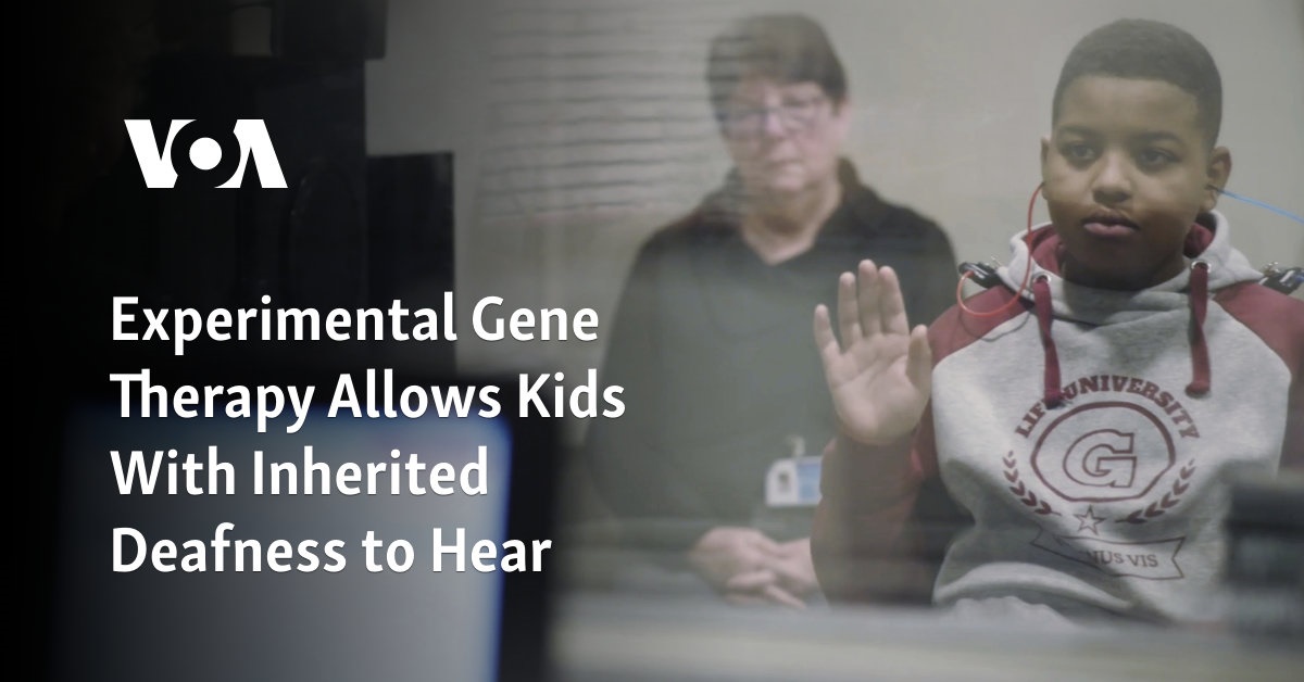 Experimental Gene Therapy Allows Kids With Inherited Deafness to Hear