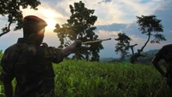 M23 Rebels Speak on DRC Offensive