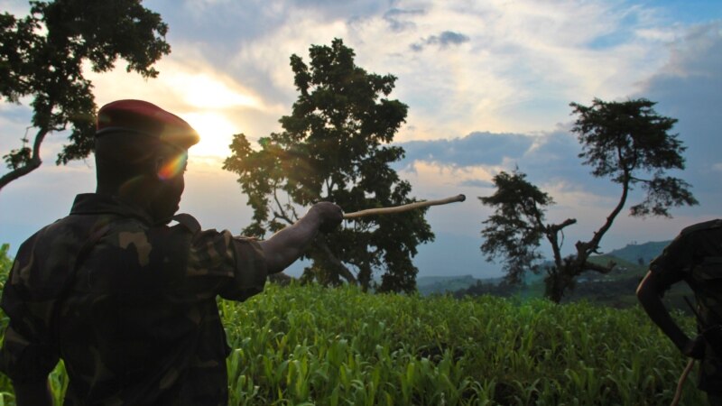 RDC: les rebelles du M23 réclament 