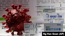 Samples of a COVID-19 vaccine produced by Sinopharm subsidiary CNBG are displayed near a 3D model of a coronavirus during a trade fair in Beijing on Sept. 6, 2020. 