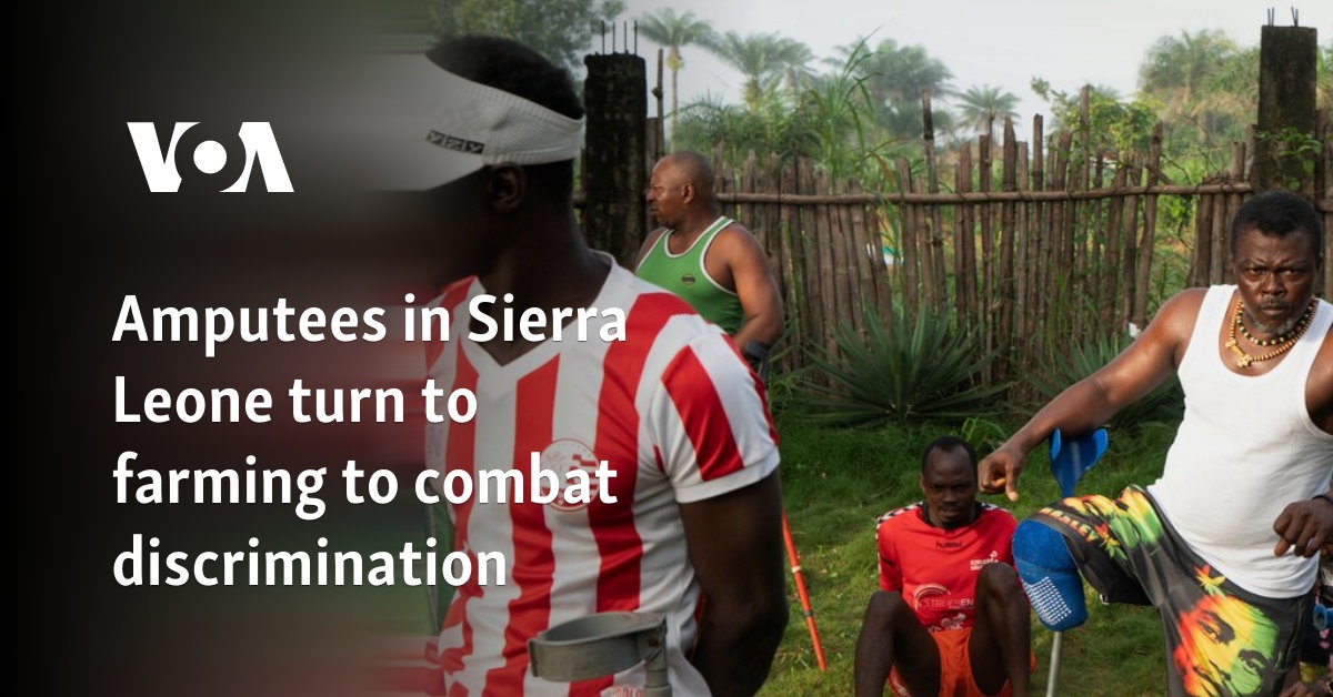 Amputees in Sierra Leone turn to farming to combat discrimination