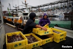 Squid fishermen land a catch of squid at Hakodate wholesale market in Hakodate, Hokkaido, Japan, July 20, 2018.