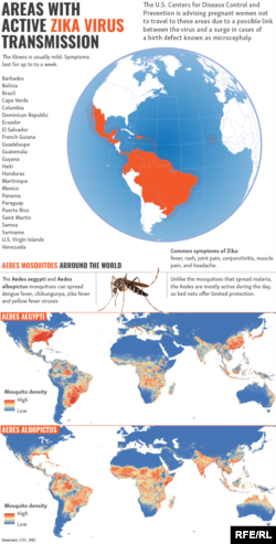 Infographic: Areas With Active Zika Virus Transmission
