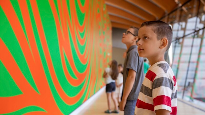 Do Field Trips Help Students with Learning?