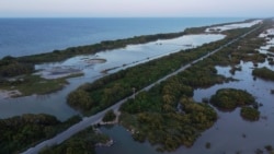 A highway cuts through a mangrove forest near the Dzilam de Bravo Reserve, in Mexico’s Yucatan Peninsula, Oct. 9, 2021.