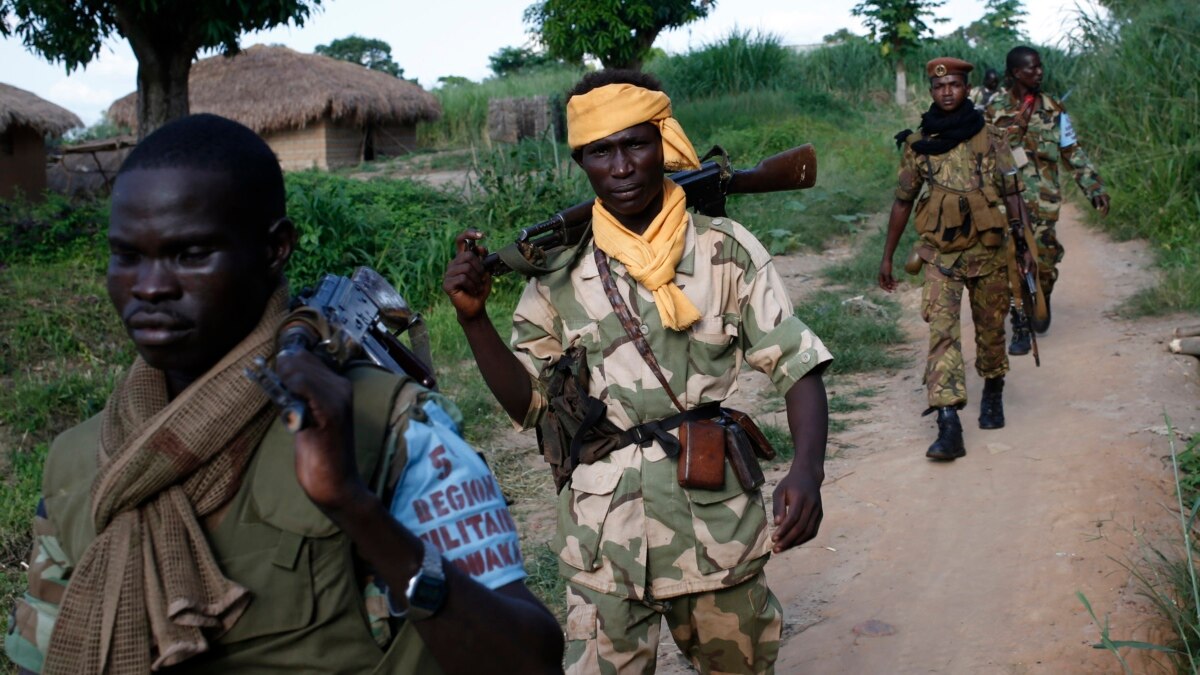 UN Panel: Expel Militia Fighters From CAR Armed Forces