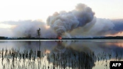 Những cột khói bốc lên từ các đám cháy rừng gần Green Point ở bang New South Wales, ngày 8/1/2013.