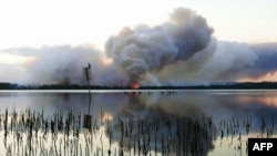 Smoke billows as a bushfire burns near Green Point in New South Wales, January 8, 2013.