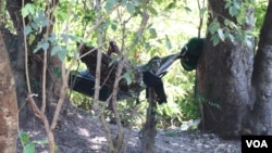 A solider rests in a hammock nearby a newly established base camp in Smarch village of Siem Reap province’s Tram Sasar commune, on Dec. 21, 2017. Although hundreds of soldiers registered to vote there in September, only a few were present at the camp in December. (Sun Narin/VOA Khmer) 