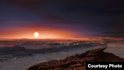 Artist's impression of the planet orbiting Proxima Centauri. Courtesy of ESO/M. Kornmesser.