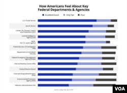 Information Source: Gallup