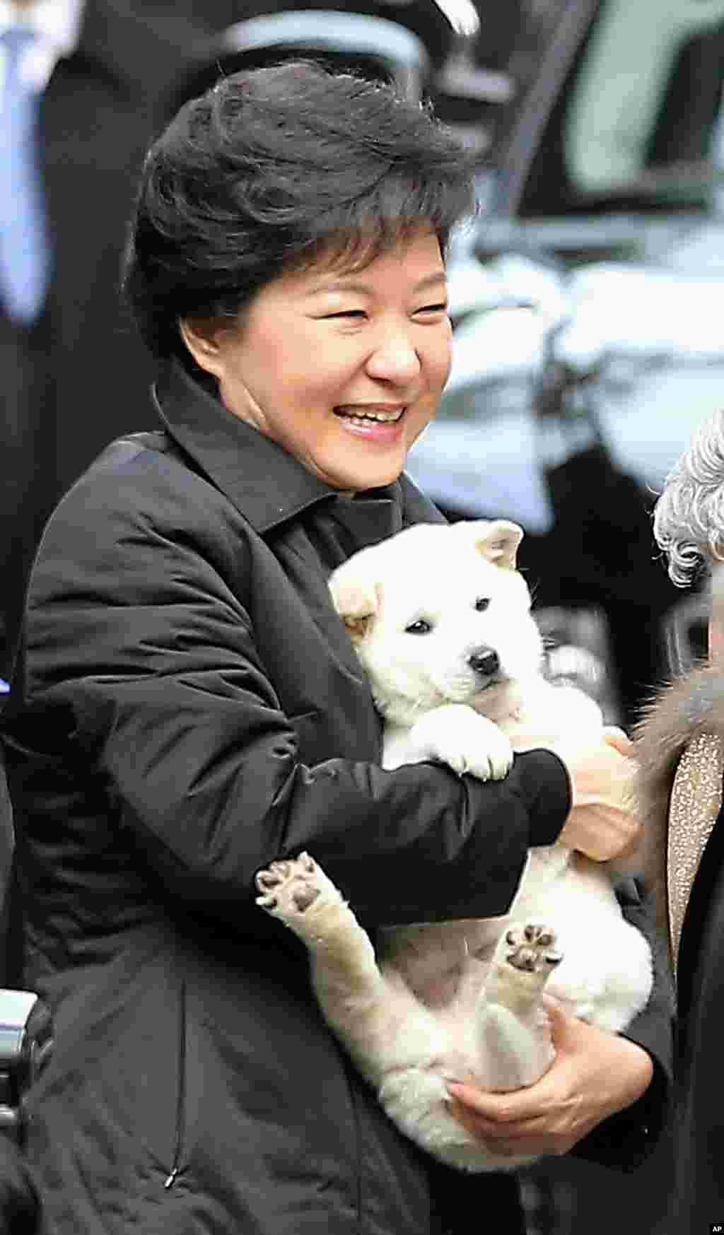 South Korean President Park Geun-hye holds a puppy presented by her neighbor as she leaves her home for the presidential inauguration ceremony in Seoul.